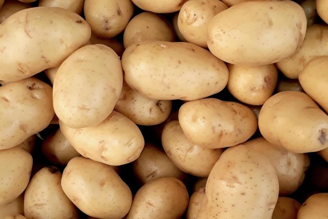 A close-up view of fresh organic potatoes piled together, showcasing natural texture and freshness.